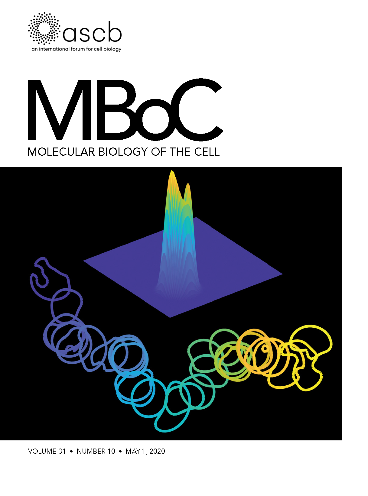 MBoC cover